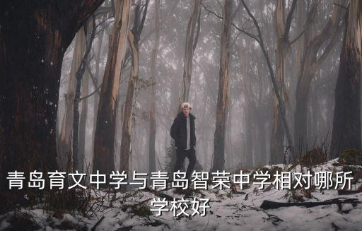 青島育文中學(xué)與青島智榮中學(xué)相對哪所學(xué)校好