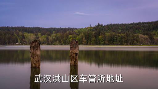 武漢洪山區(qū)車管所地址