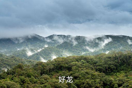 龍房指的是什么