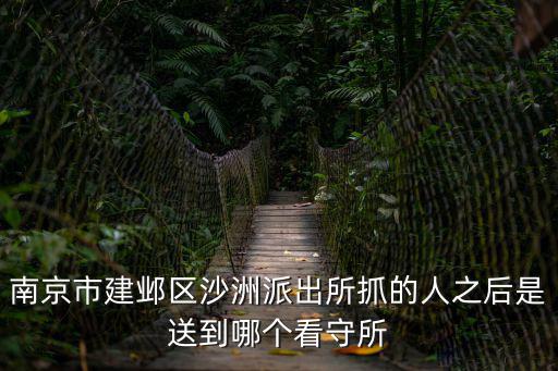 沙洲派出所，南京市建鄴區沙洲派出所抓的人之后是送到哪個看守所