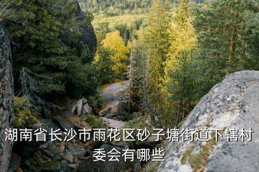 砂子塘，砂子塘本部在哪