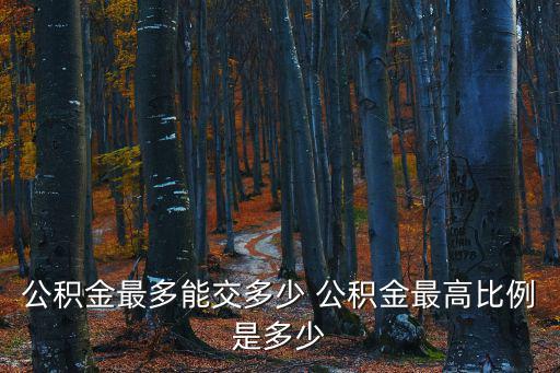 公積金最多能交多少 公積金最高比例是多少