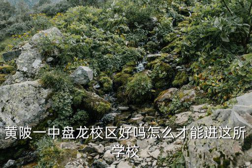 黃陂一中盤龍校區(qū)，黃陂一中是不是個(gè)垃圾學(xué)校