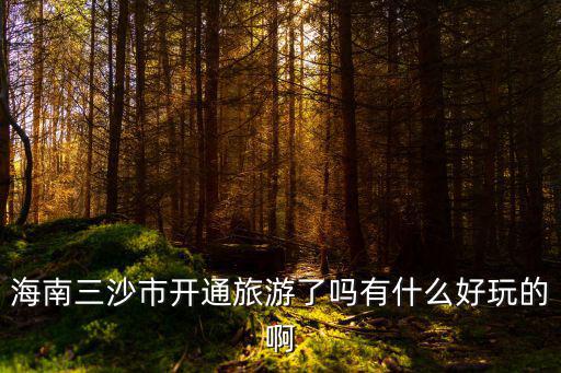 海南三沙市開通旅游了嗎有什么好玩的啊
