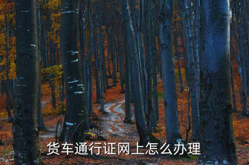 貨車通行證網上怎么辦理