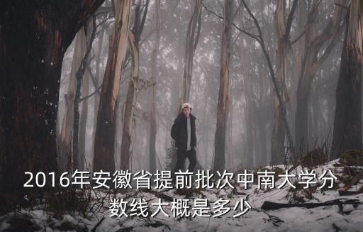 2016年安徽省提前批次中南大學分數線大概是多少