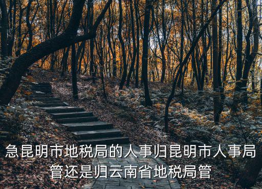 地稅局，急昆明市地稅局的人事歸昆明市人事局管還是歸云南省地稅局管