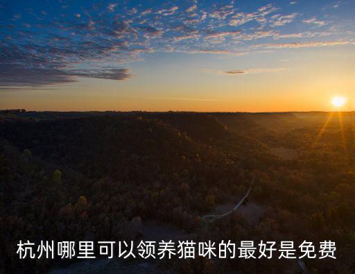 杭州哪里可以領養貓咪的最好是免費