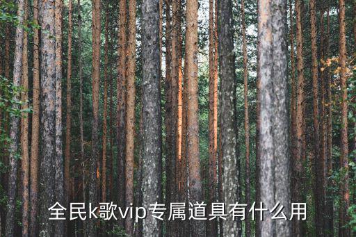 全民k歌vip專屬道具有什么用