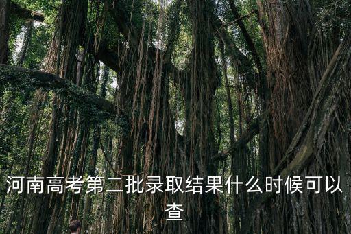 河南高考第二批錄取結果什么時候可以查