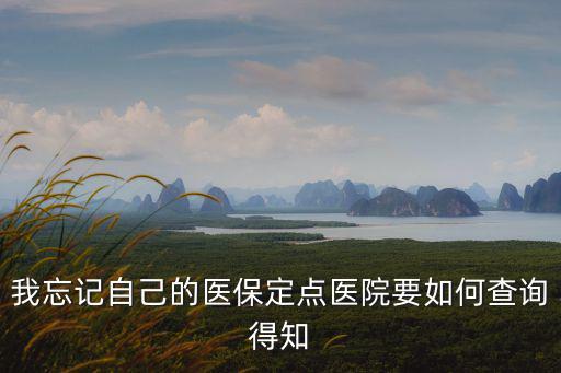 醫保定點醫院查詢，個人社保卡定點醫院怎么查詢