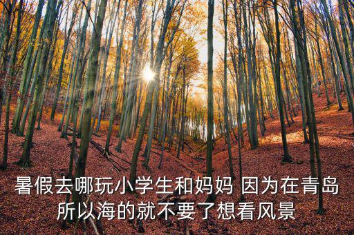 暑假去哪玩小學生和媽媽 因為在青島所以海的就不要了想看風景