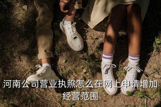 河南公司營業執照怎么在網上申請增加經營范圍