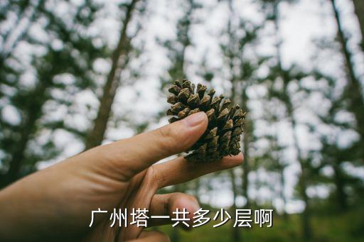 廣州塔一共多少層啊