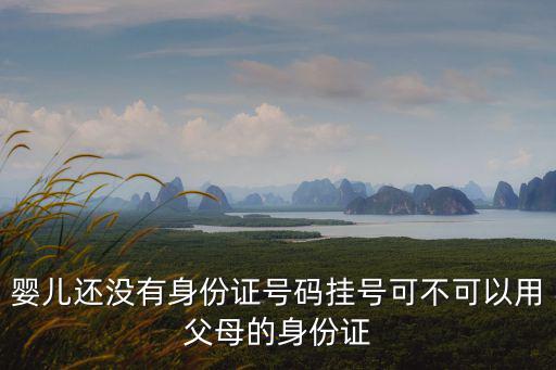 嬰兒還沒有身份證號碼掛號可不可以用父母的身份證
