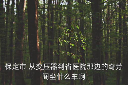 保定市 從變壓器到省醫(yī)院那邊的奇芳閣坐什么車啊