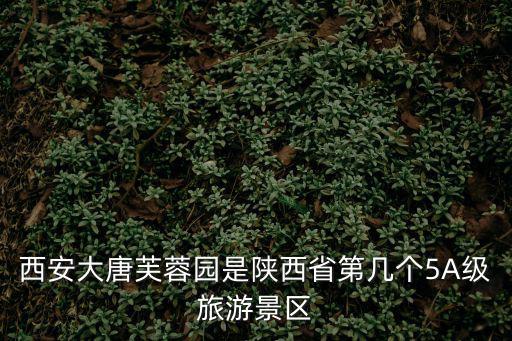 西安大唐芙蓉園是陜西省第幾個5A級旅游景區