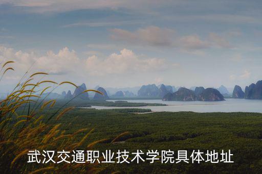 武漢交通職業(yè)學院地址，武漢交通職業(yè)技術(shù)學院具體地址