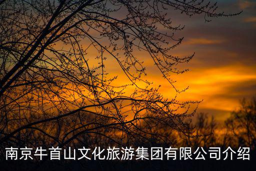 南京牛首山文化旅游集團有限公司介紹
