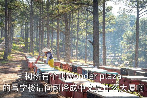 柯橋有個叫wonder plaza的寫字樓請問翻譯成中文是什么大廈啊