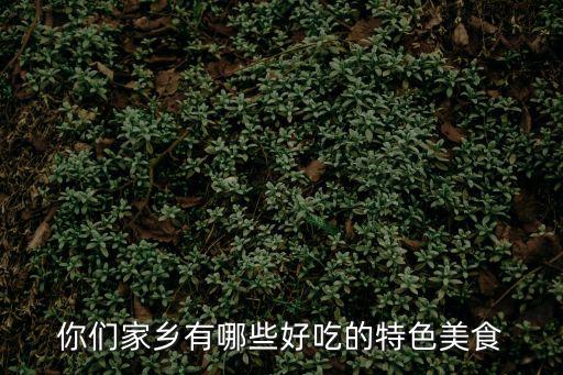 你們家鄉有哪些好吃的特色美食