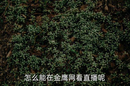 怎么能在金鷹網看直播呢