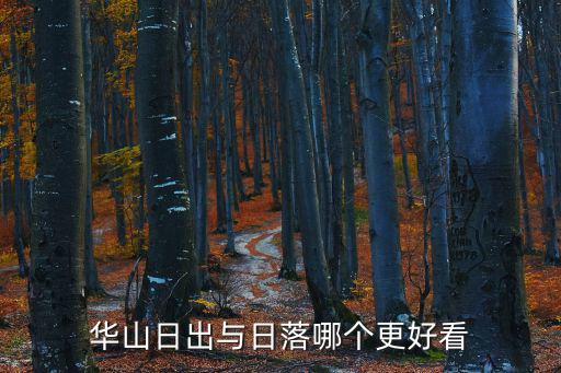 華山日出與日落哪個更好看