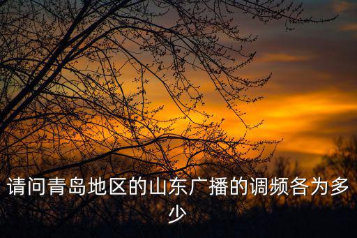 請問青島地區的山東廣播的調頻各為多少
