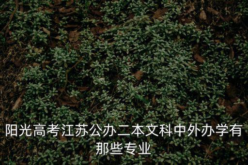 陽光高考江蘇公辦二本文科中外辦學(xué)有那些專業(yè)