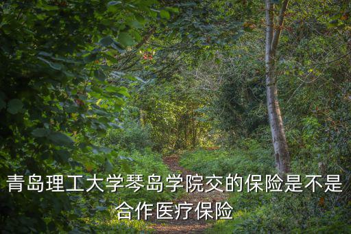 青島理工大學琴島學院交的保險是不是合作醫療保險