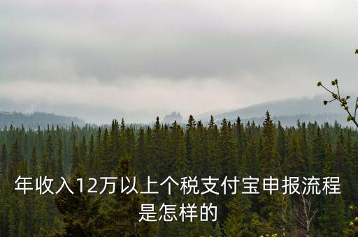 個人所得稅申報流程圖，網上報個人所得稅填寫的步驟