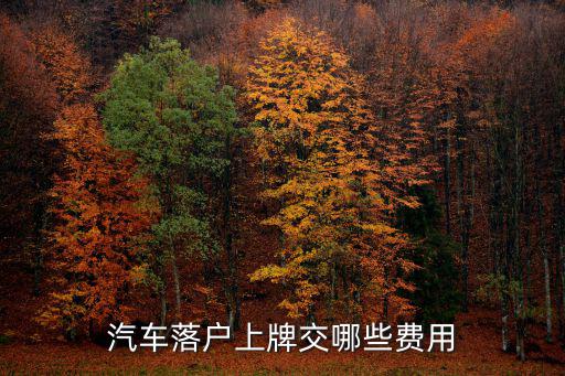 汽車落戶上牌交哪些費用