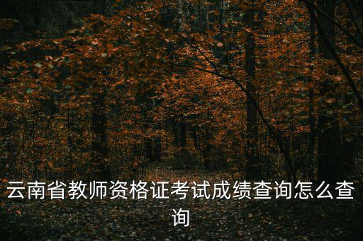云南省教師資格證考試成績查詢怎么查詢