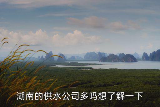 湖南的供水公司多嗎想了解一下