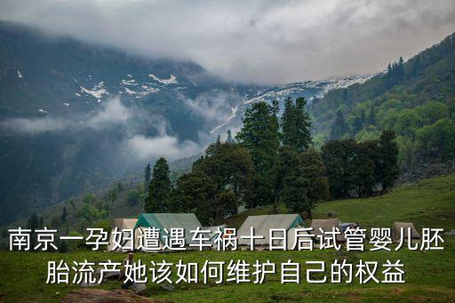 南京一孕婦遭遇車禍十日后試管嬰兒胚胎流產她該如何維護自己的權益