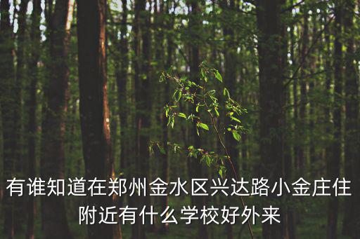 有誰知道在鄭州金水區興達路小金莊住附近有什么學校好外來