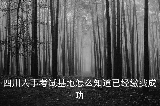 四川人事考試基地怎么知道已經(jīng)繳費(fèi)成功