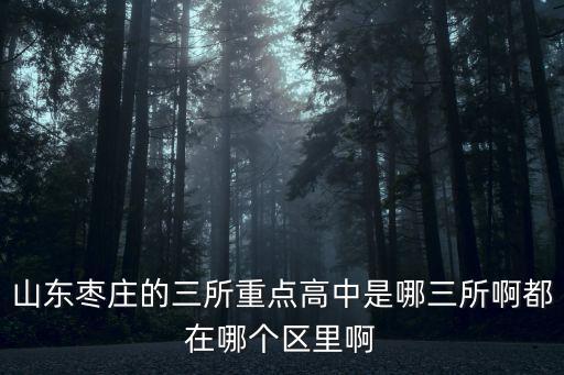 棗莊一中，山東棗莊的三所重點高中是哪三所啊都在哪個區里啊