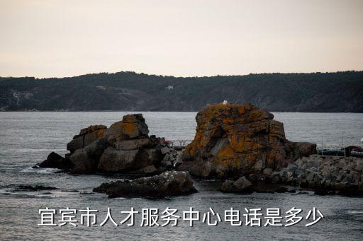 宜賓人社，宜賓市人才服務中心電話是多少