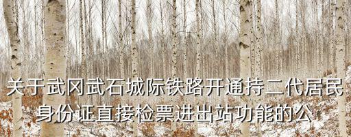 關于武岡武石城際鐵路開通持二代居民身份證直接檢票進出站功能的公