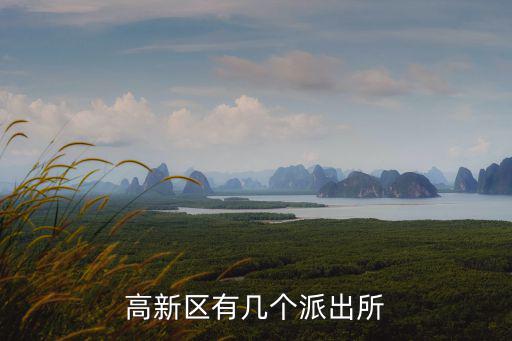高新區有幾個派出所