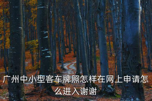 廣州中小型客車牌照怎樣在網上申請怎么進入謝謝