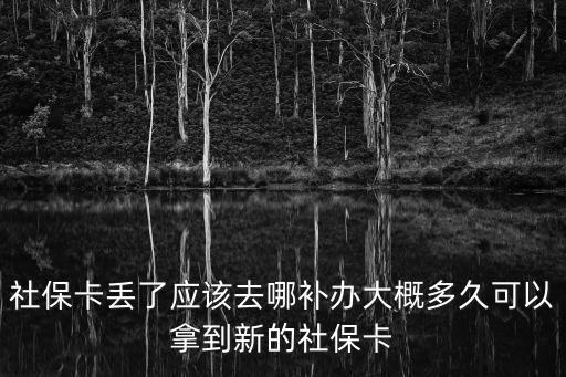社保卡丟了應該去哪補辦大概多久可以拿到新的社保卡