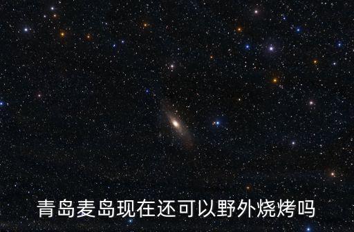 青島麥島現(xiàn)在還可以野外燒烤嗎