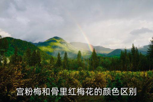 宮粉梅和骨里紅梅花的顏色區(qū)別