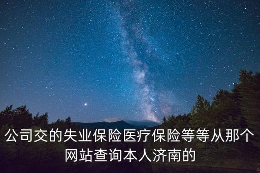 公司交的失業(yè)保險醫(yī)療保險等等從那個網(wǎng)站查詢本人濟南的