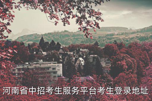 省中招平臺，中考網絡應用服務平臺登錄成績查詢顯示黑色