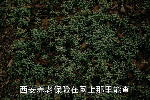 西安養老保險在網上那里能查