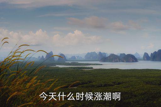 今天什么時候漲潮啊