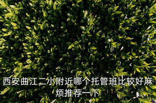 西安曲江二小附近哪個托管班比較好麻煩推薦一下